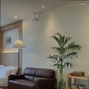 모네의 여름 이미지