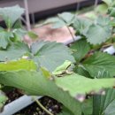 고석농장 이미지