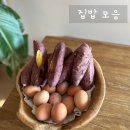 집밥 모음, 내 돈 내산 살림템까지