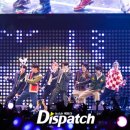 아미캣 이미지
