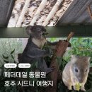 [호주 시드니 여행지] 페더데일 동물원 후기