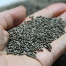 웰빙팥이랑들깨랑 이미지