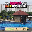 무장해제 | 첫 해외여행인데 왜 이렇게 쉬웠죠? 세시모 덕분에 완전 무장해제된 제이파크 가족여행 후기