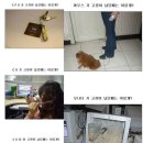 컴퓨터 활용 이미지