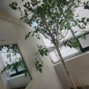 고든지압원 이미지