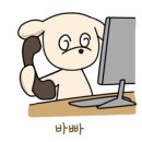 벌룬플라워 이미지