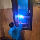 빌라 퍼즈 2호점 | 네살아이랑 연말 다낭여행 3일차(올드타운소원배/포즈앤엔조이)