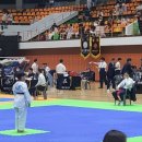 천마태권도 이미지