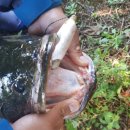 만식이네 이미지