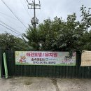 정관아이숲유치원 | 양산 애견유치원, 240평 실내•외를 자유롭게 오가는 숲속 댕토리