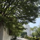 [휴대폰성지] 아이폰 17 프로 후기