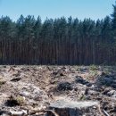 (주)삼림 이미지