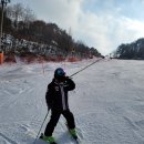 웰리힐리파크 이미지