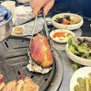 백수농원