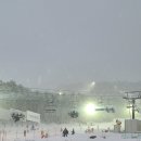 드래곤락당구장 | 용평리조트 모나 용평 놀이시설 드래곤스트라이크펍 볼링장 오락실 이용후기