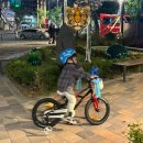 네발친구 | 네살 자전거 로얄베이비 16인치 세돌아기 네발자전거 후기