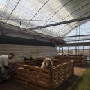 천구농장 이미지