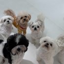 재진축산 이미지