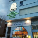 명지애견 이미지