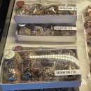 서현동물병원 | 분당 서현 카페 추천｜웨이팅 없는 베이커리 맛집 ‘서현170’ 후기