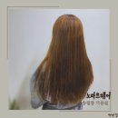 테크노 폴리스 송절동 미용실 노마르 헤어 클리닉 후기