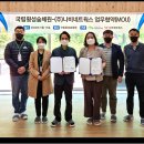 나비네트웍스
