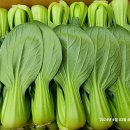 블랙야채