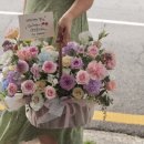 트레졸리 네이버블로그