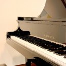 예담음악학원 이미지