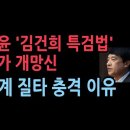 "이걸 검사장 출신이 냈다니…" 탄식 부른 '김건희 종합 특검법' ﻿성창경TV 이미지