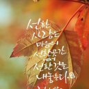 행복은 강도가 아니라 빈도 이미지