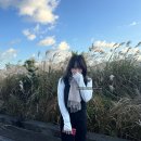[제주도 구좌]🏕️송당 드: 제주도_후기🍊2박 3일 여행💙
