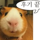 청두곶길 41 이미지