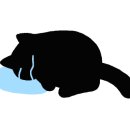 비고리조트 12 이미지