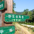 백향목숲휴양림 이미지