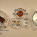 리쏘(주) 이미지