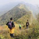 등뼈 | 우한 근교 등산 코스 왕공산, 용의 등뼈 트레킹 후기