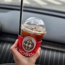 대전워싱 | 워싱데이대전라자로점 노터치세차솔직후기