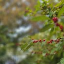 한내행복발전소 이미지