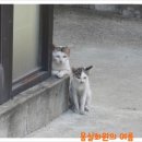 몽실화원 이미지