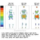 고등학생 건강을 위한 매트리스 질문 이미지