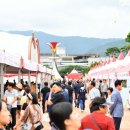 제17회 장수 한우랑 사과랑 축제 아시아경제