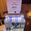 사하라요가 | [의정부 사하라요가] 체험후기: 의정부요가, 의정부역요가