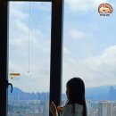 2708 | 소피텔 앰배서더 서울 후기｜레이크뷰 객실에서 석촌호수·롯데타워 뷰 만끽했어요