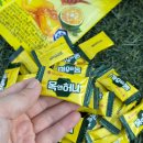 목목상점 | 오리온 신상캔디 칼칼한 목엔 목앤허니 깔라만시맛