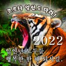 새해반점 이미지
