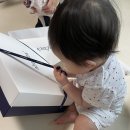 별뚱이의 육아일기 - 알홍커플과 별뚱이의 아쿠아리움