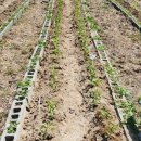 부귀초등학교 이미지