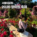 서울대공원 장미원 축제 실시간 후기(개화율 110%)🌹(가는 법·입장료·주차·할인 꿀팁)