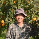 시목마을 이미지